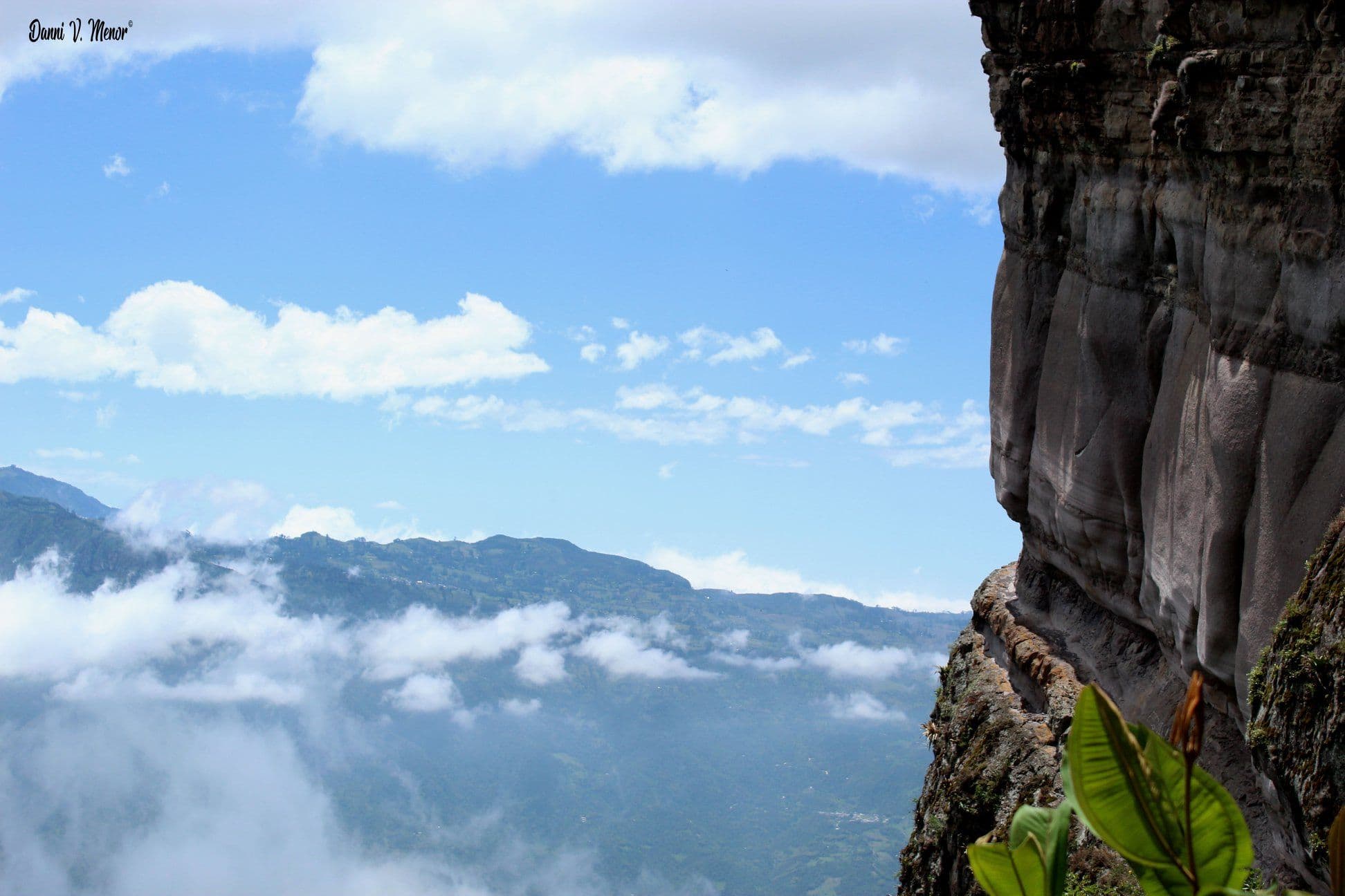 Cerro Balcón: El Mirador de los Bosques Nublados de Udima
