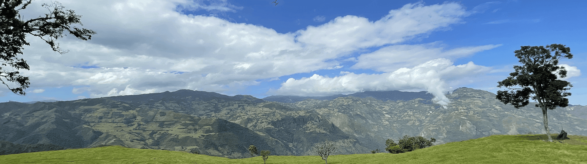 Imagen de portada del blog