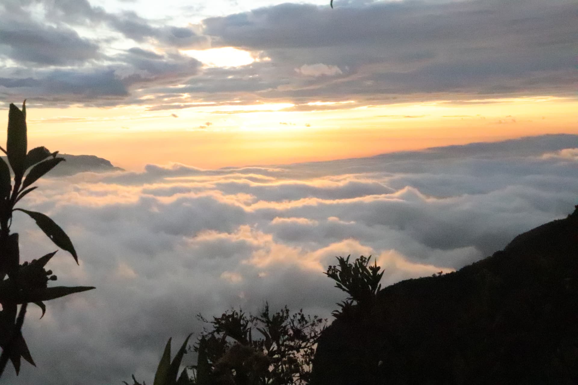 Imagen del artículo