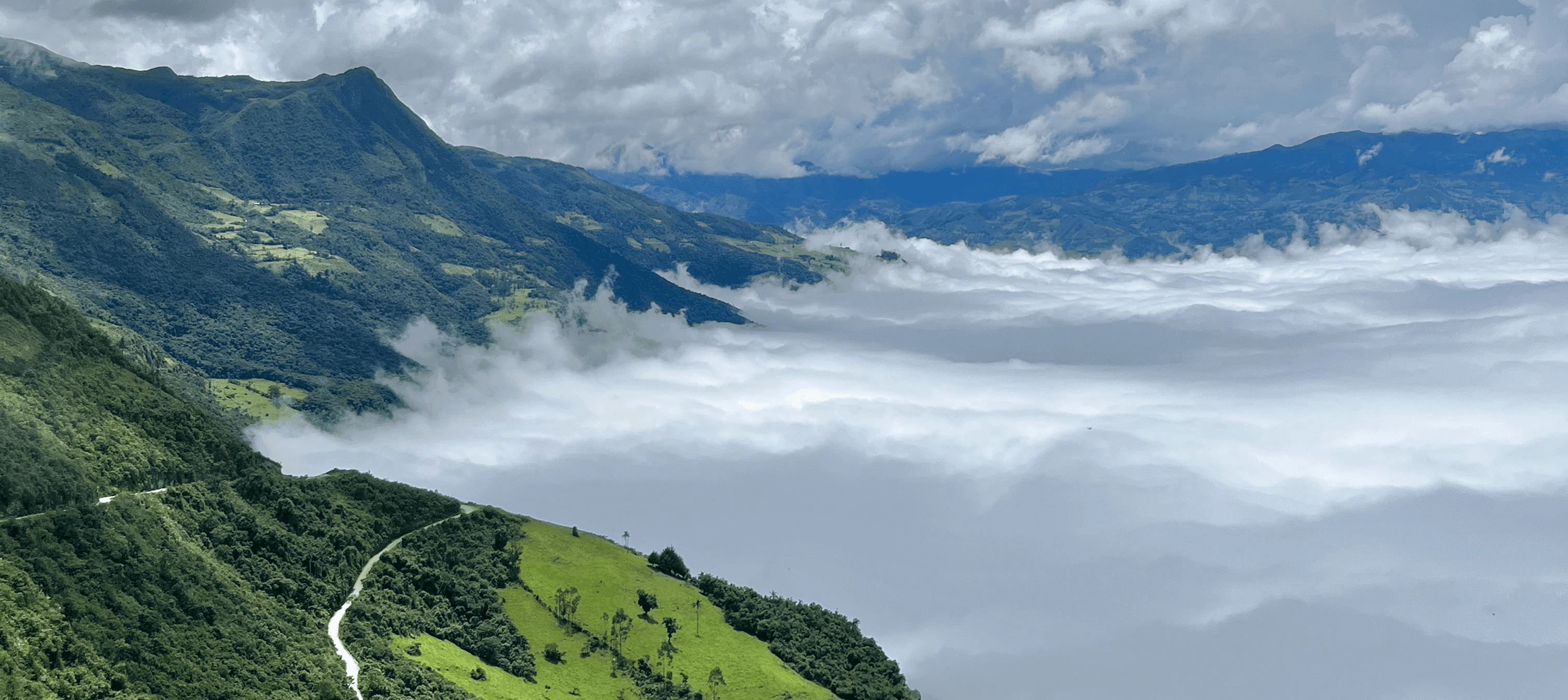 Bosques Nublados de Udima