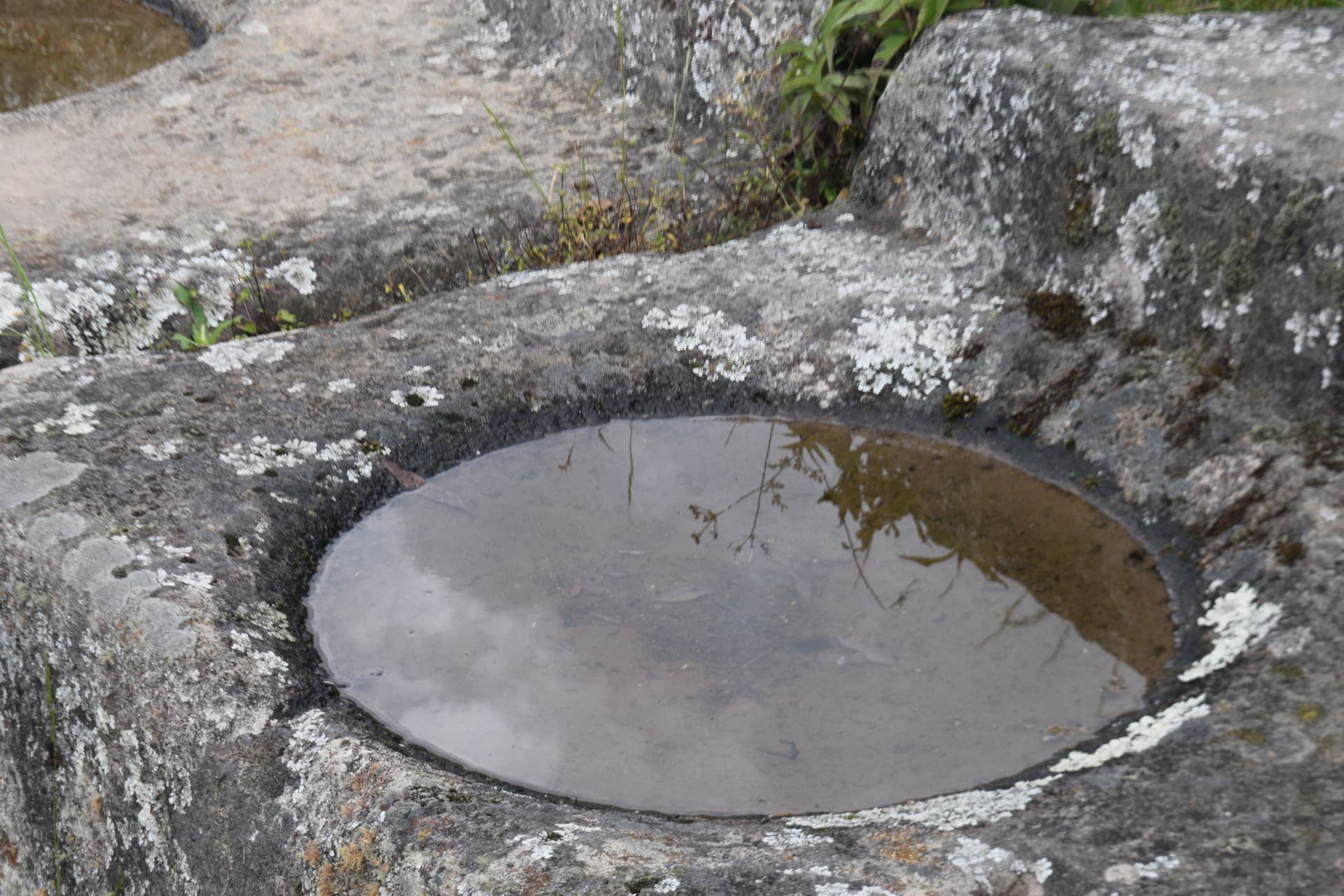 Imagen del artículo