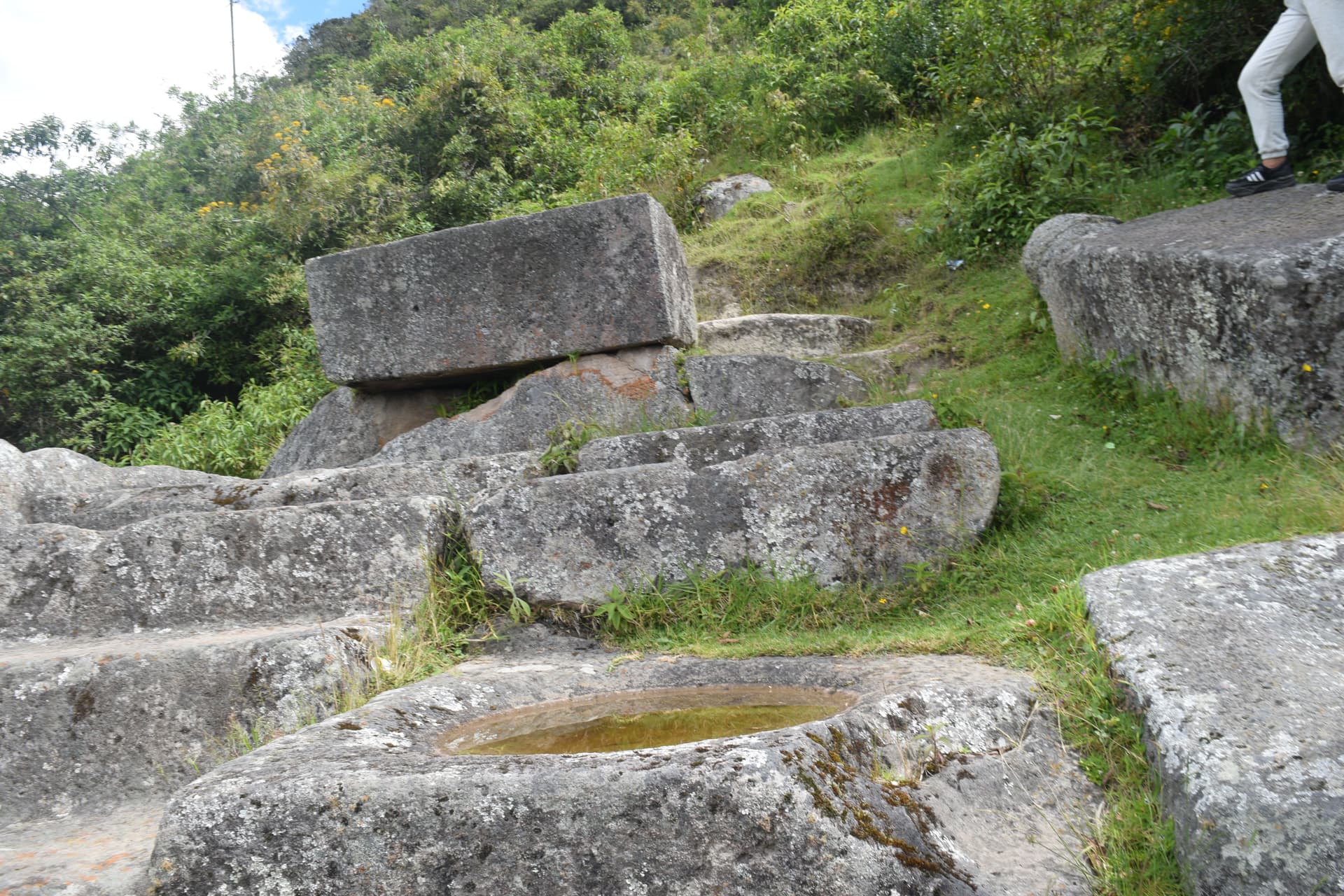 Imagen del artículo