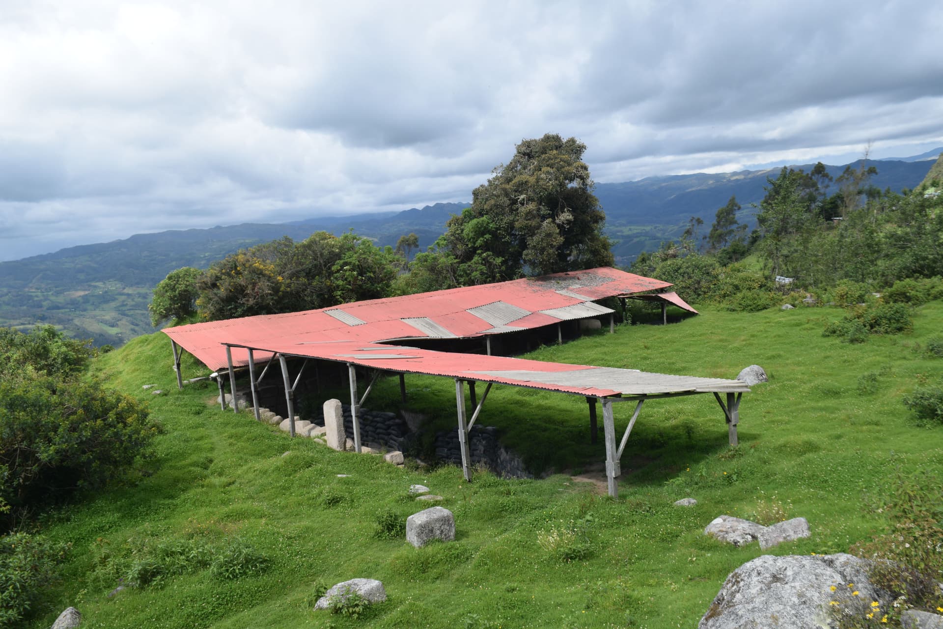 Imagen del artículo