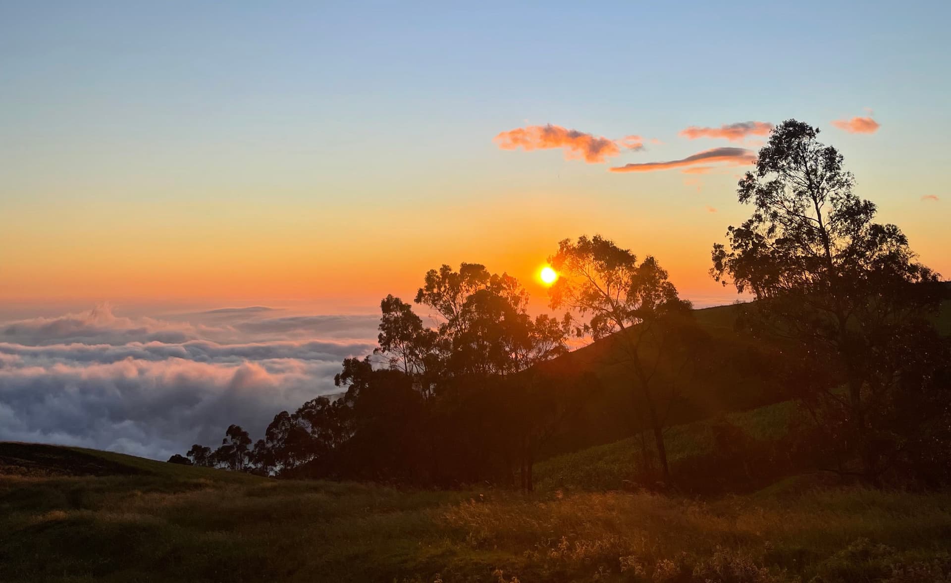 Imagen del artículo