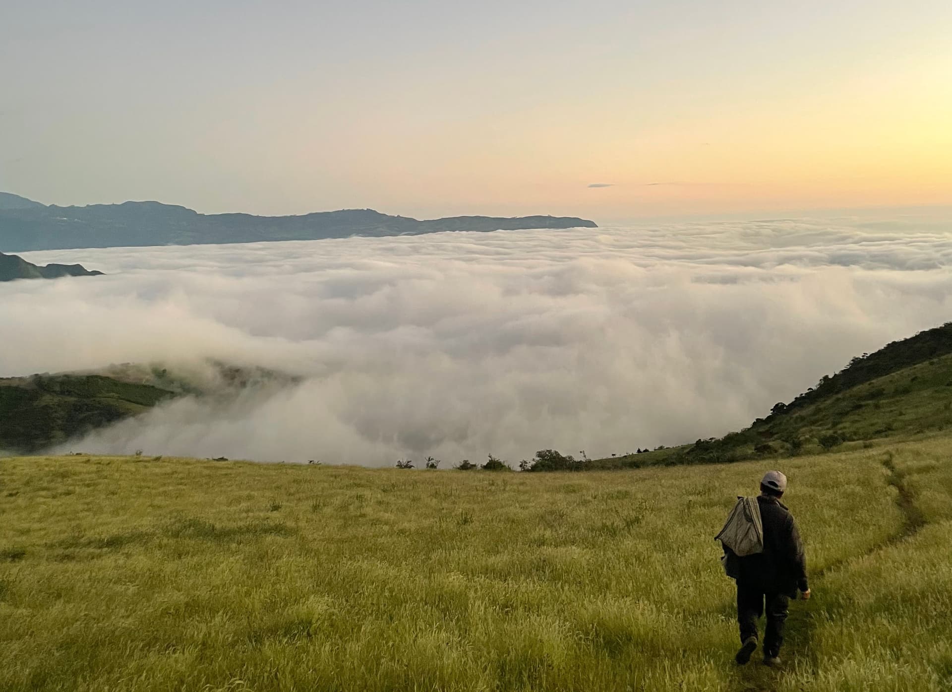 Imagen del artículo