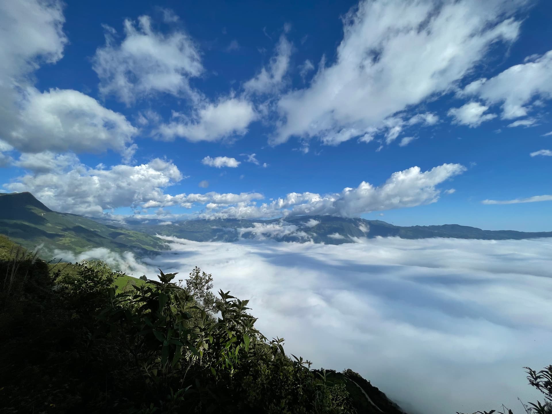 Imagen del artículo