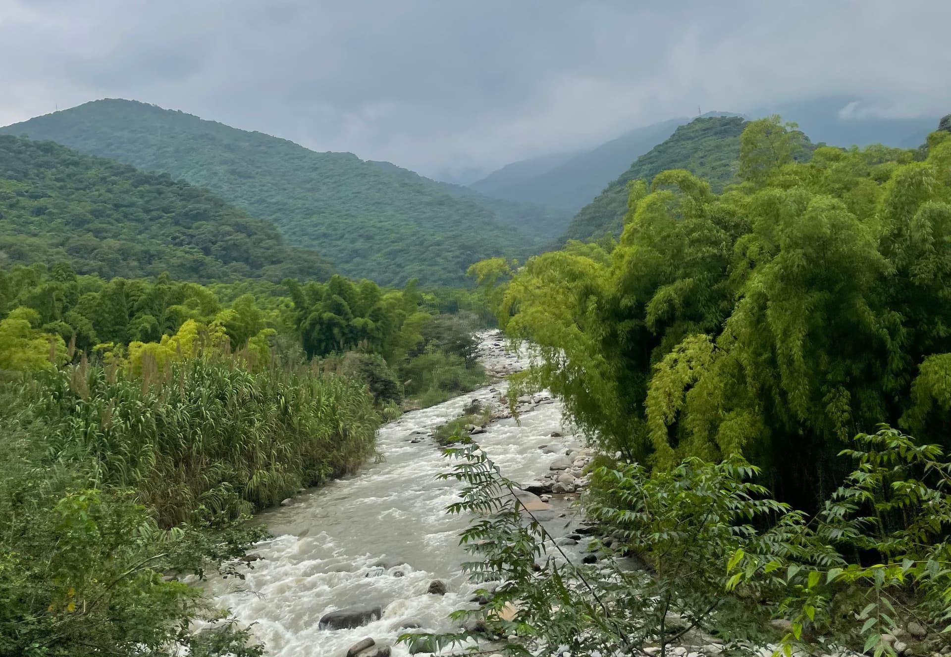 Imagen del artículo